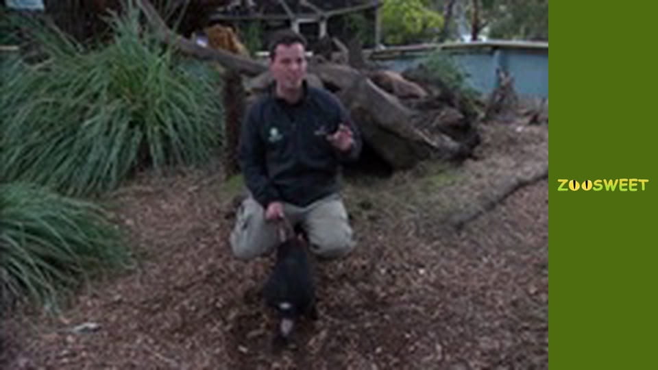 Боротьба за виживання, Сезон 1, Випуск 17