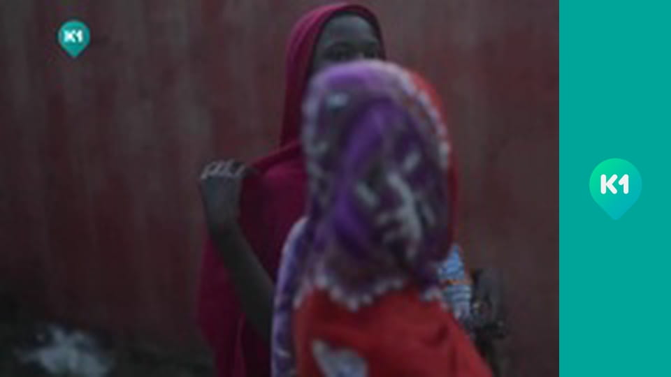 "Пригоди з Яною Метьолкіною".