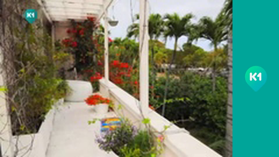 "Інший світ".