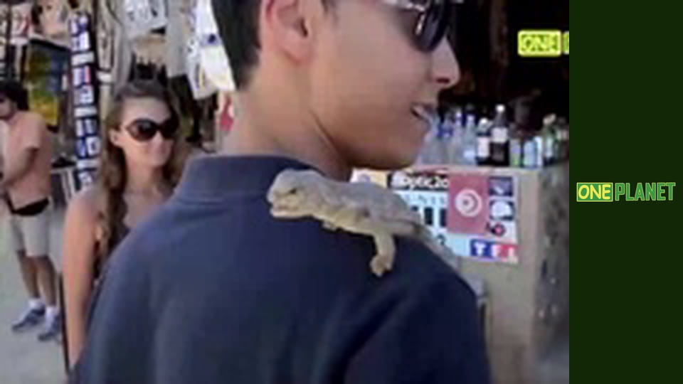 Мегаполiси, 10 еп.