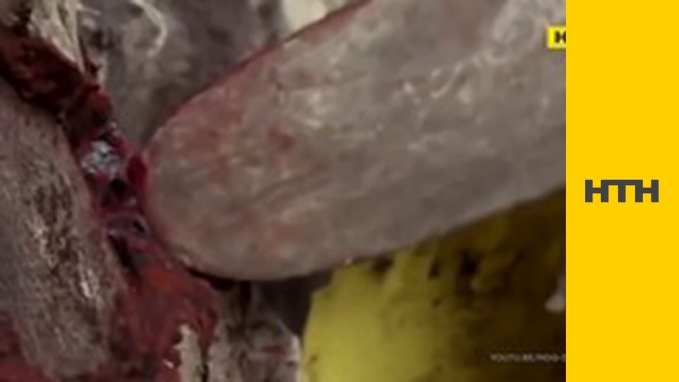 "Випадковий свідок".