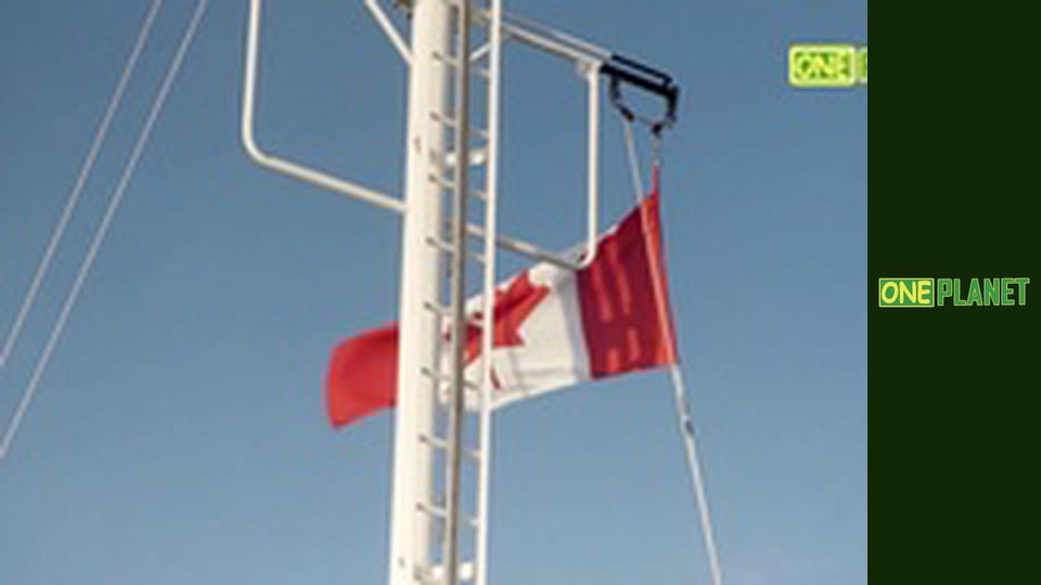 Крутой маршрут, 36 эп.