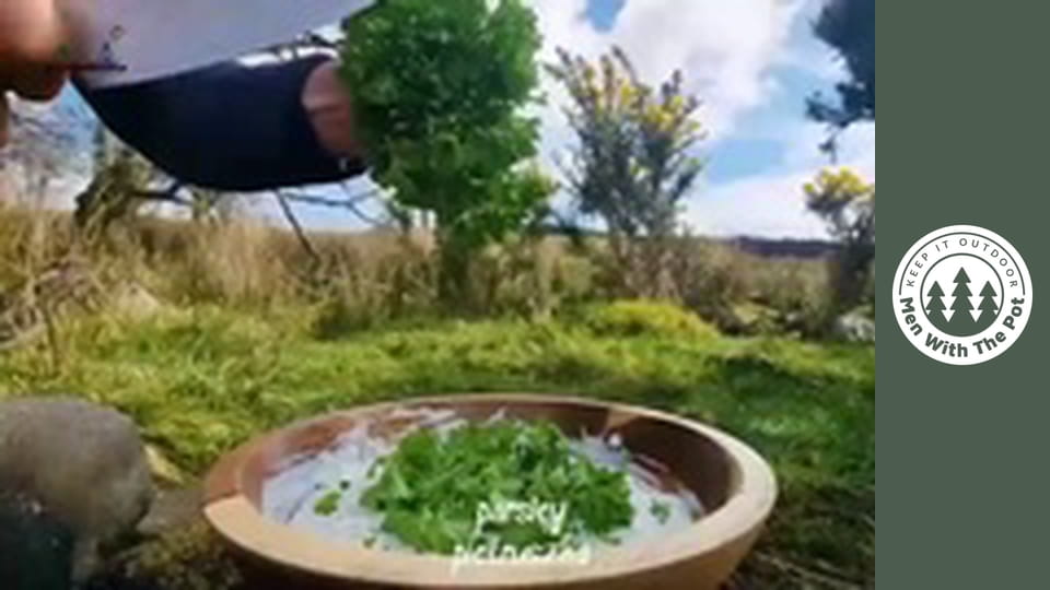 SEAFOOD FEAST: Delicious Salmon and Shrimp
