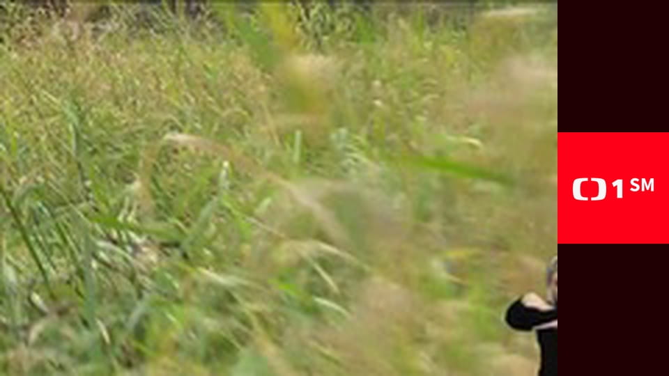 Události v regionech