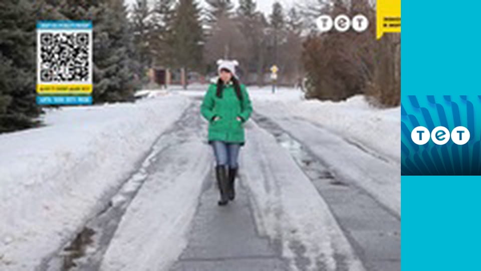 Панянка-селянка E112