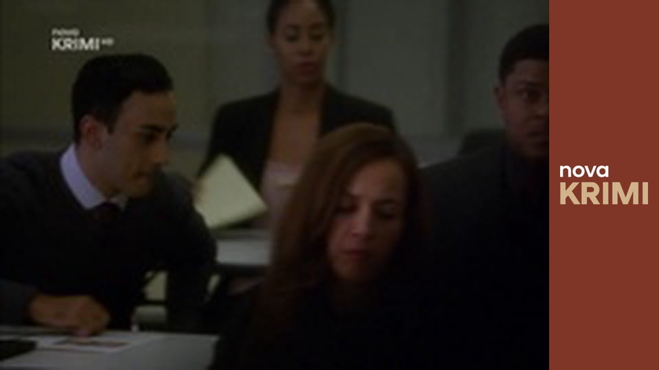 Myšlenky zločince S12E9