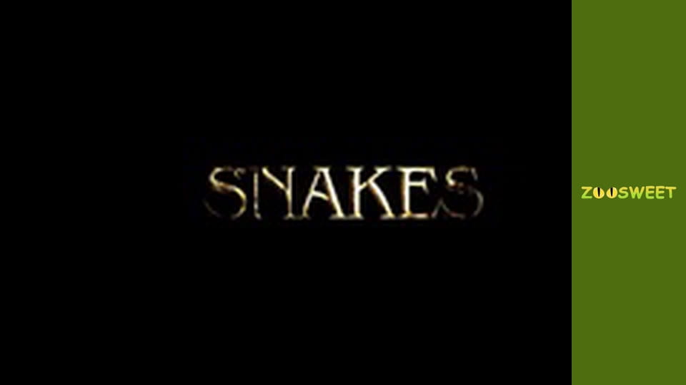 Дике життя, Сезон 1, Випуск 3