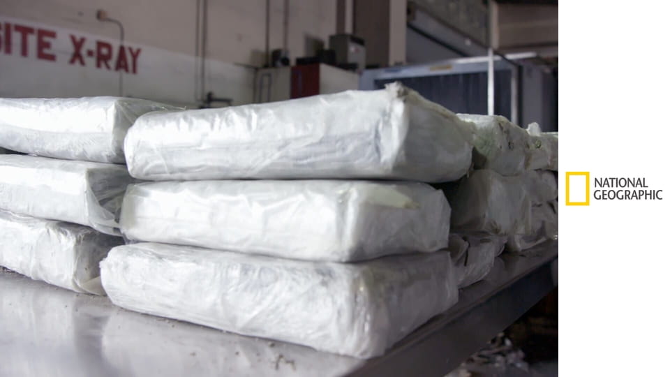 Поймать контрабандиста: операция в тропиках S1E10 - Почитай павших