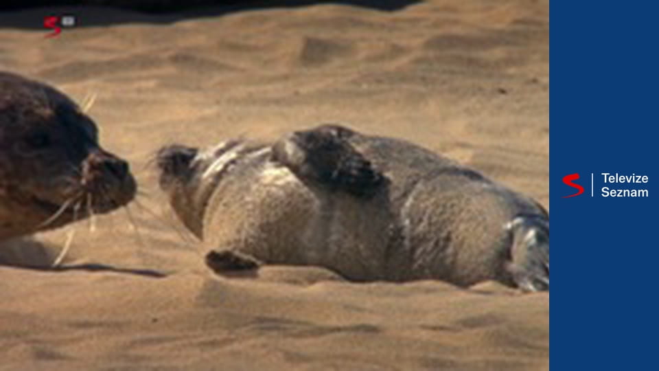 Kalendář přírody E7 - Červenec