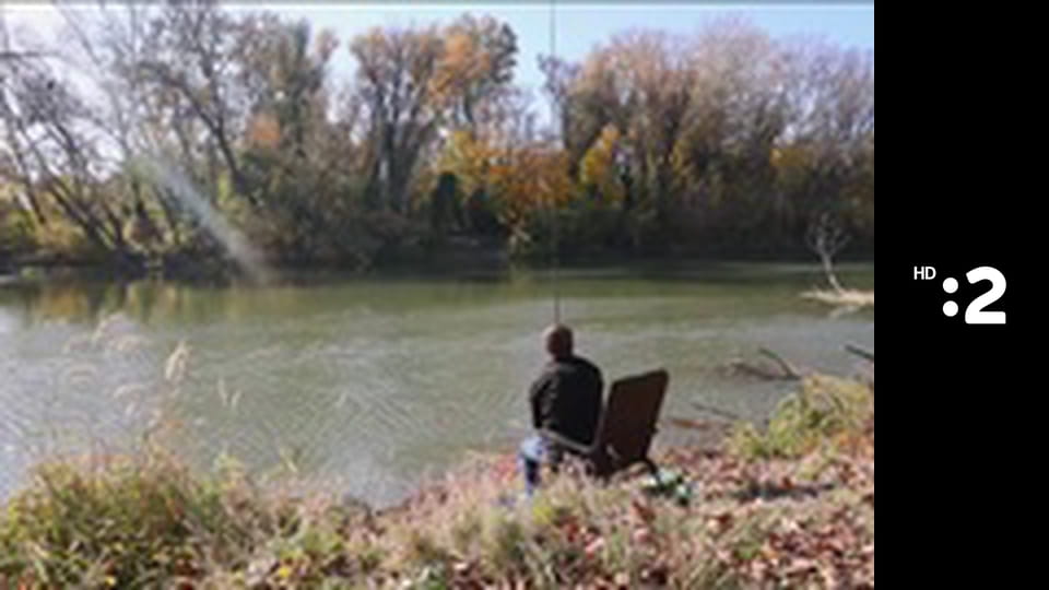 Na zelenej adrese E12