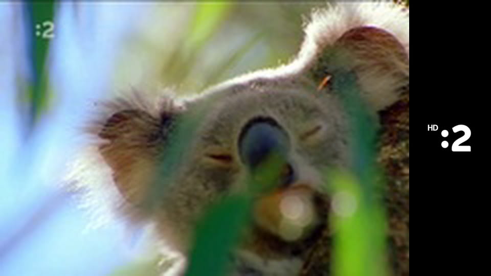 Čudná príroda E14