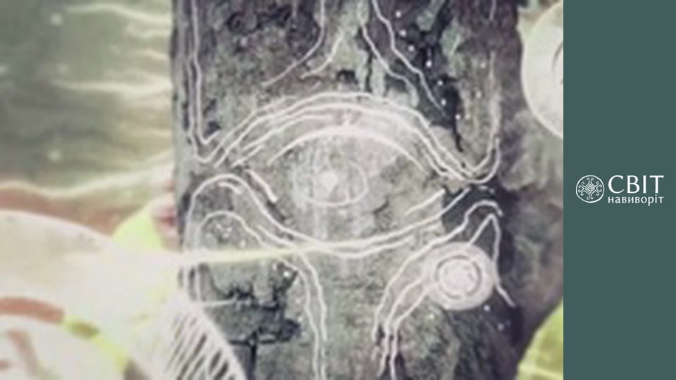 Сезон 8, Випуск 1, Непал