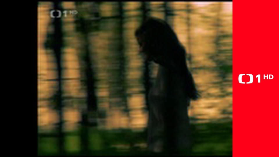 Příběhy slavných - Tiché kroky