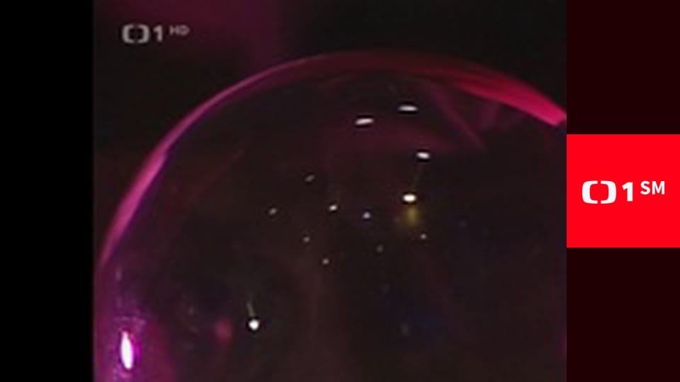 Co medvědi nevědí