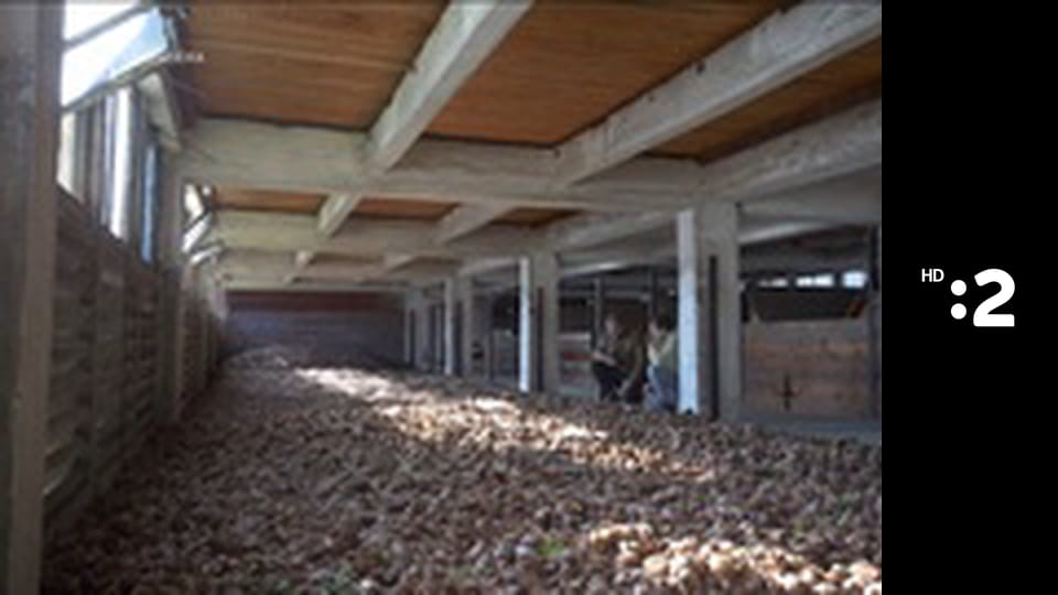 Eko to funguje E37 - Vyhadzovanie potravín