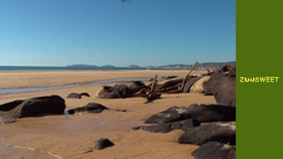 Австралія, Сезон 1, Випуск 3