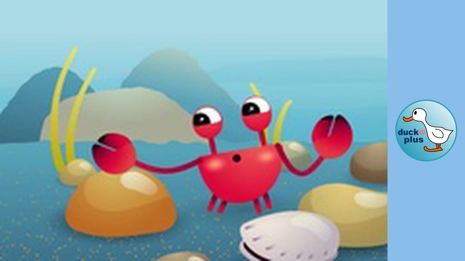 Home Sweet Home - Crab