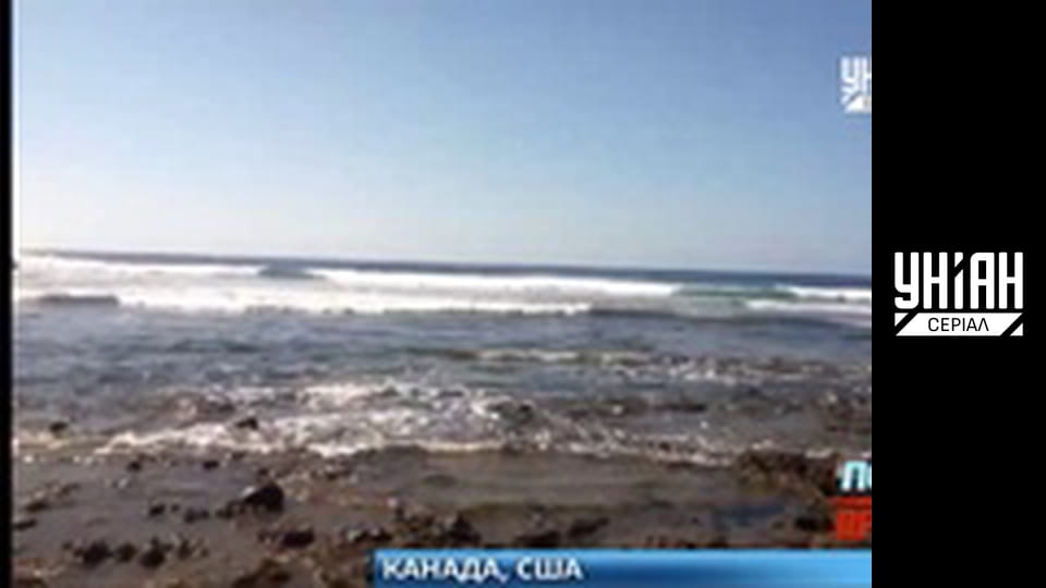 Доктор Хаус