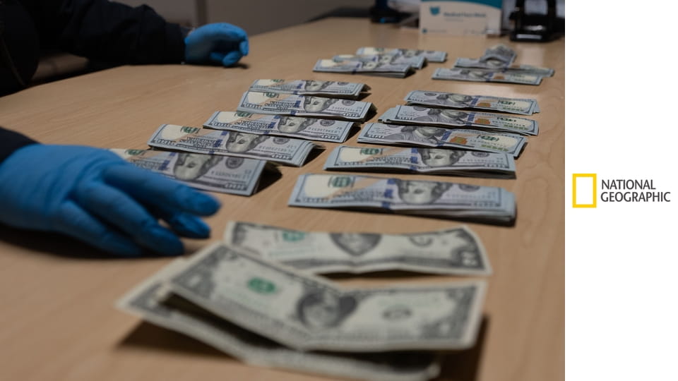 Поймать контрабандиста: Аэропорт Кеннеди S9E8 - Хвостатые "ревизорро"