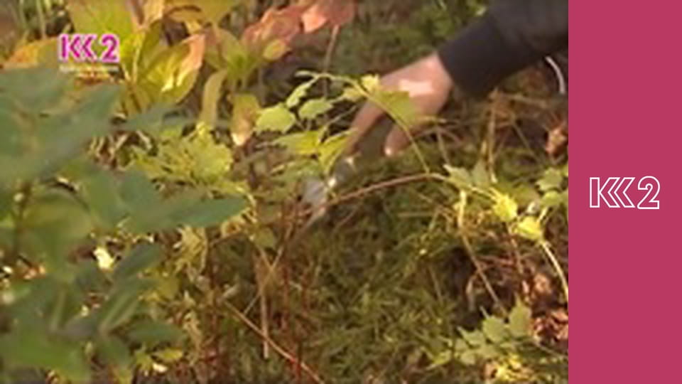 Удачний проект S1E22