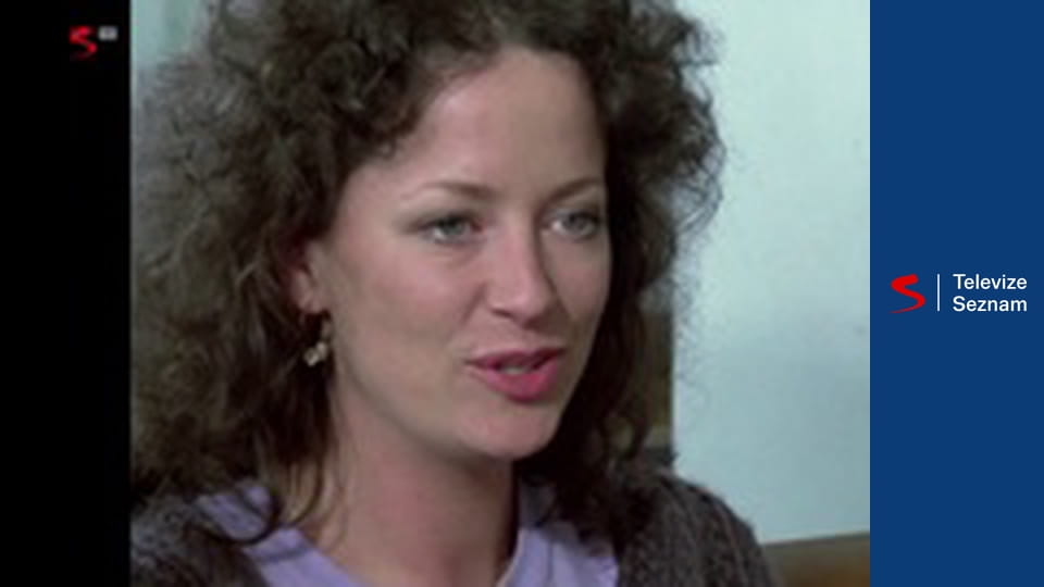 Profesionálové S4E4 - Zbraň