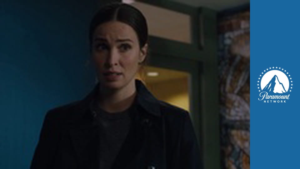 FBI: International S2E8 - Riskantní tah