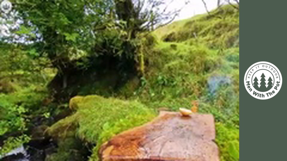 Sirloin Steak entirely wrapped in Parmesan
