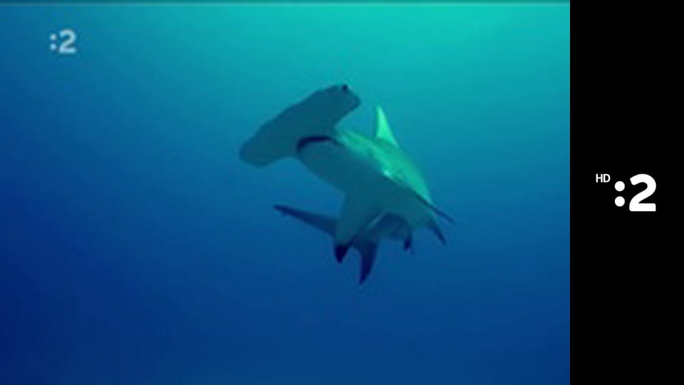 Čudná príroda E20