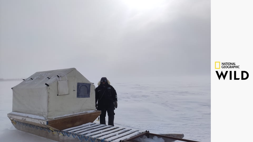 Королевство белых медведей S1E1 - Клан Севера