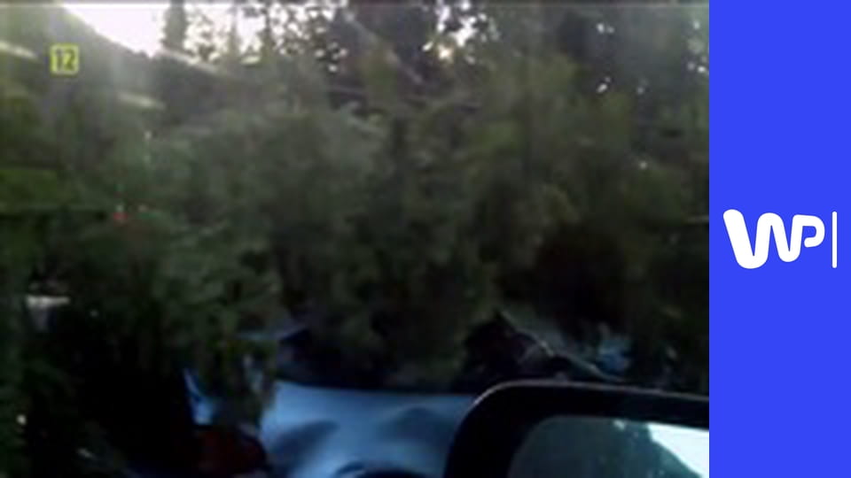 Wariaci za kierownicą: W świątecznym pędzie E2 - Idą święta