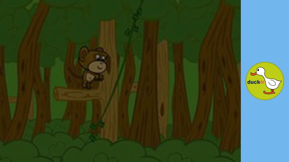 Mimo & Bobo - In the rain forest