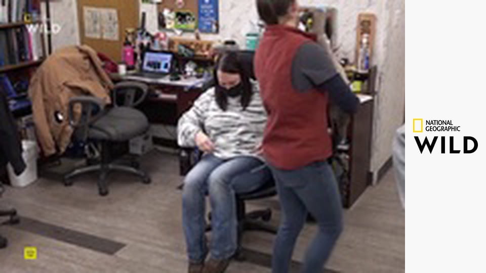 Skvělý dr. Pol S20E12 - Hodiny šití