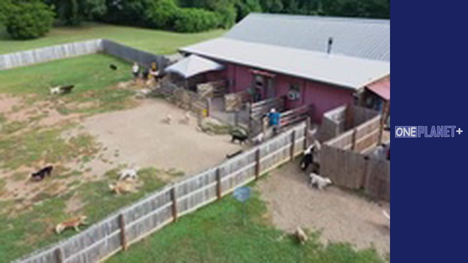 Ваш фантастичний розум, Сезон 1, Випуск 3