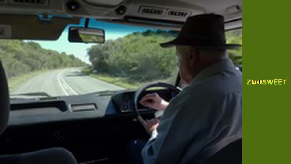 Сіяйа, Сезон 2, Випуск 3