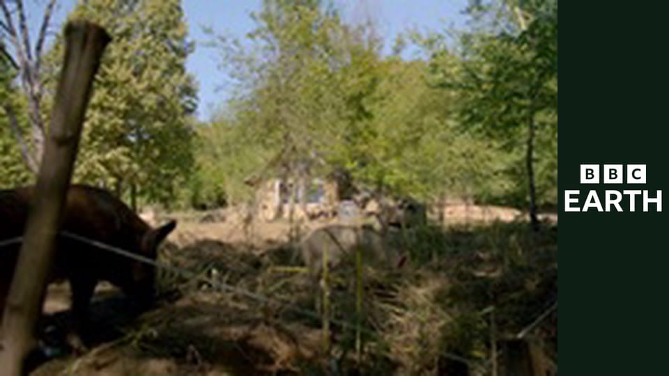 Życie na pustkowiu S7E11