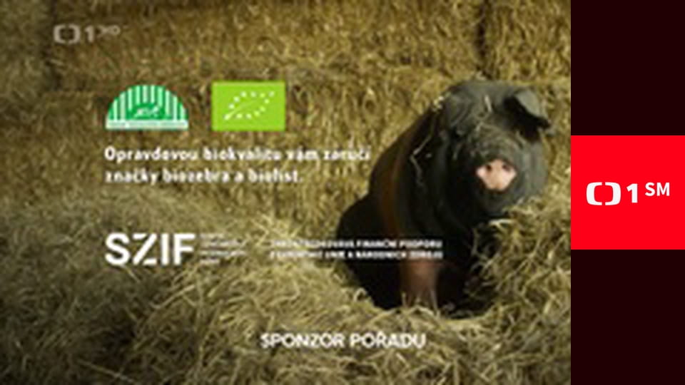 Zpátky do přírody - Šumava