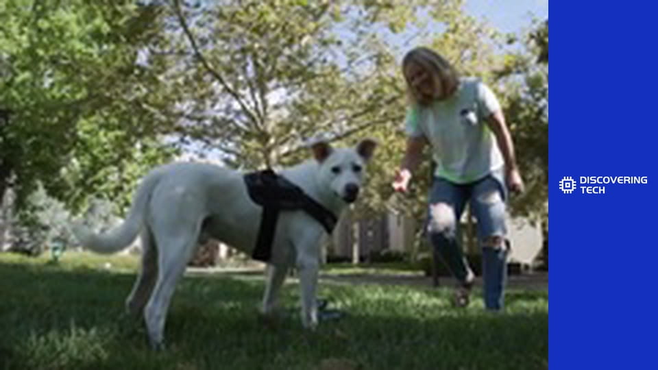 VOA TEK: Pet Innovations