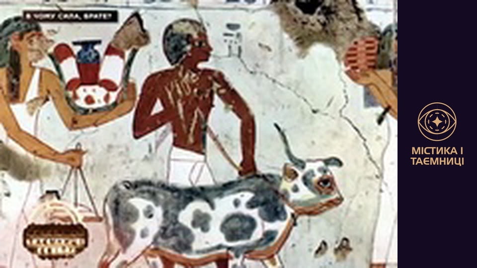 Тайны мира. В сила, брат?