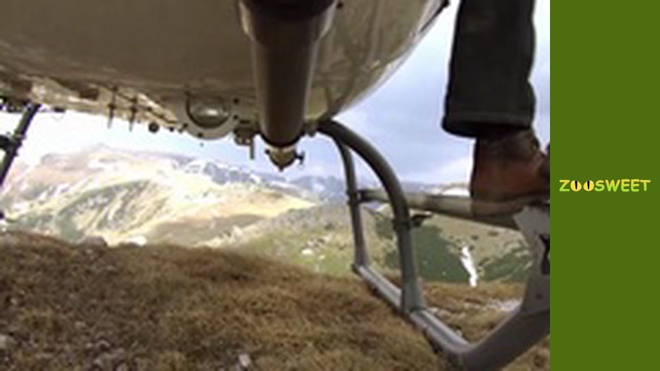 Дикі Карпати, Сезон 1, Випуск 1