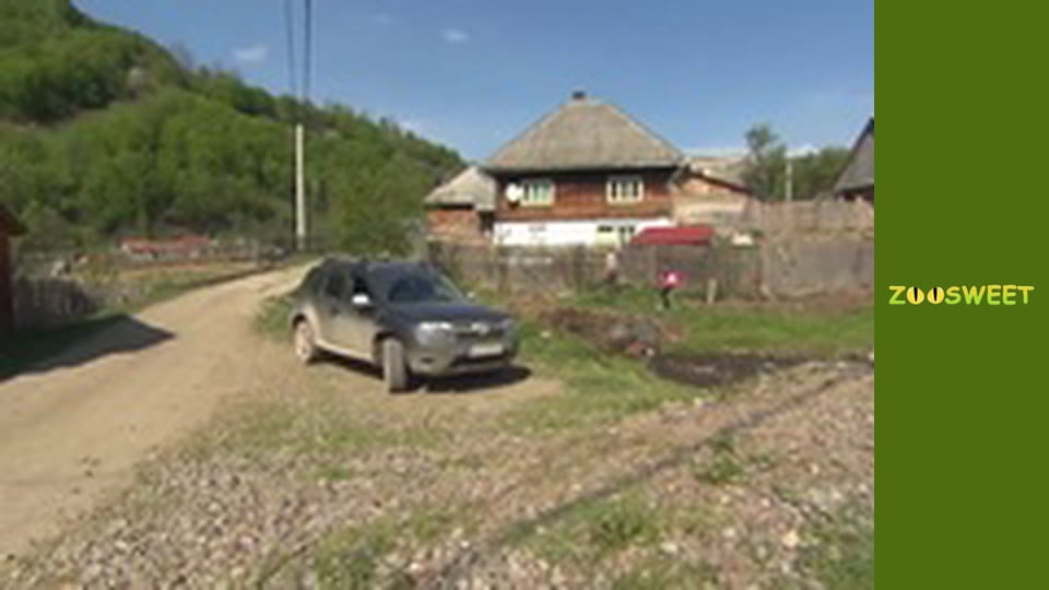 Дикі Карпати, Сезон 1, Випуск 1