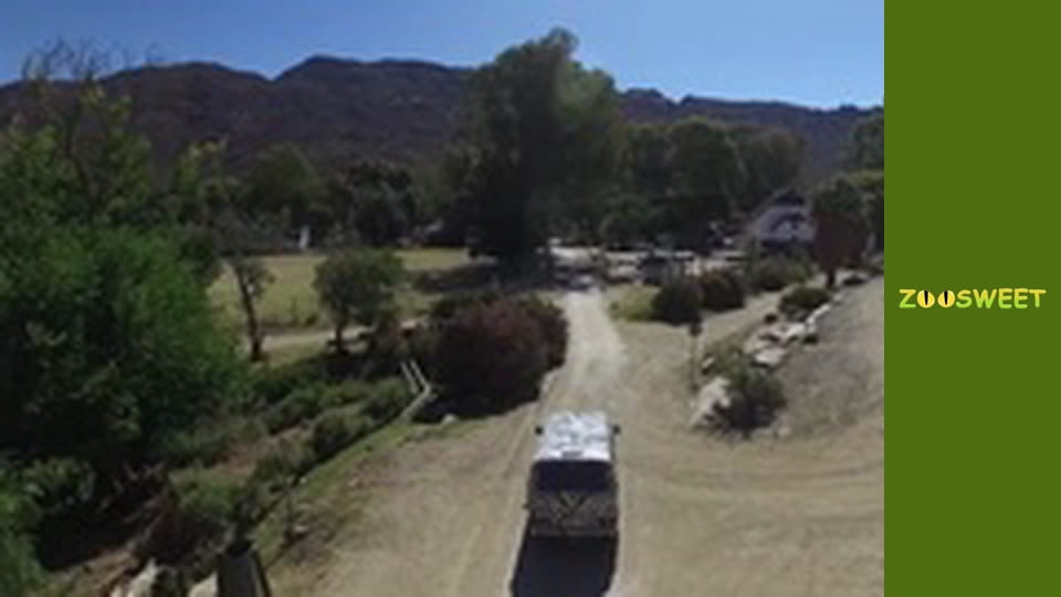 Сіяйа, Сезон 2, Випуск 4