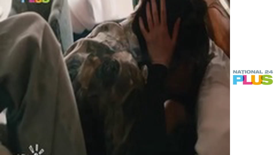 Videoclipuri Naţional FM