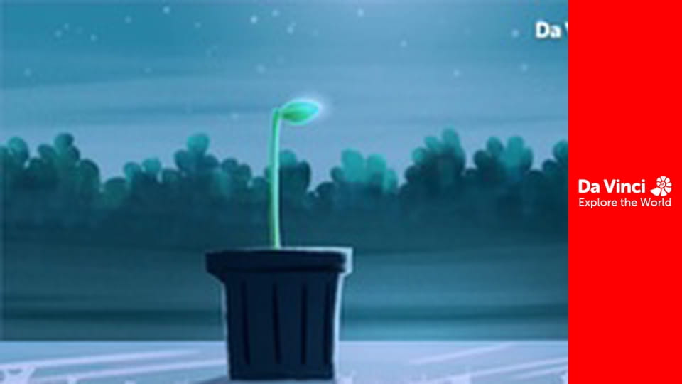 Детеныши - Улитки