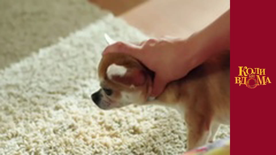 When we are at home - Season 2 Episode 25