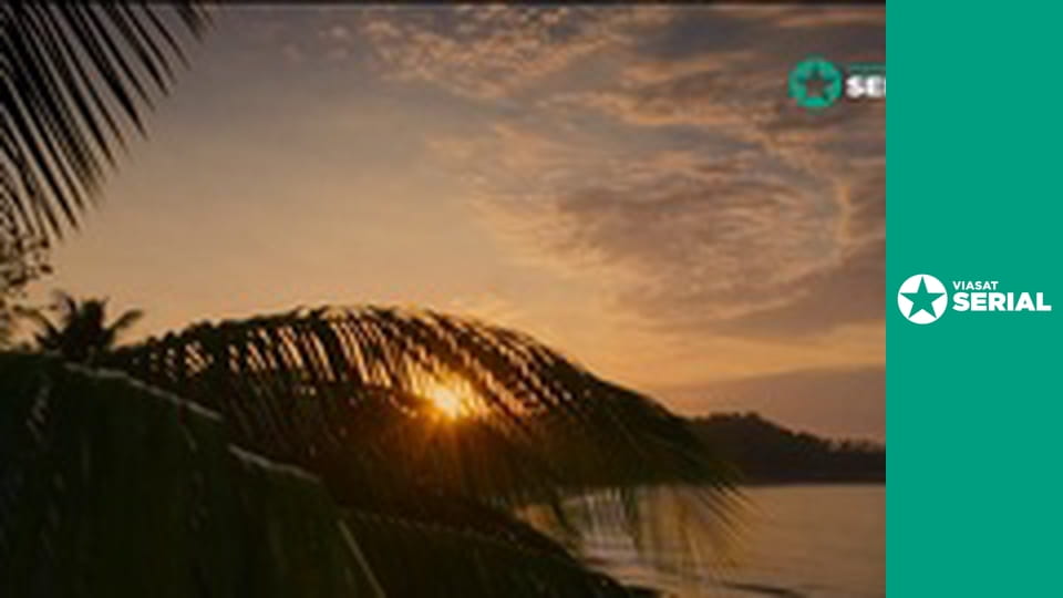 Д/с "Америка", 8 с.