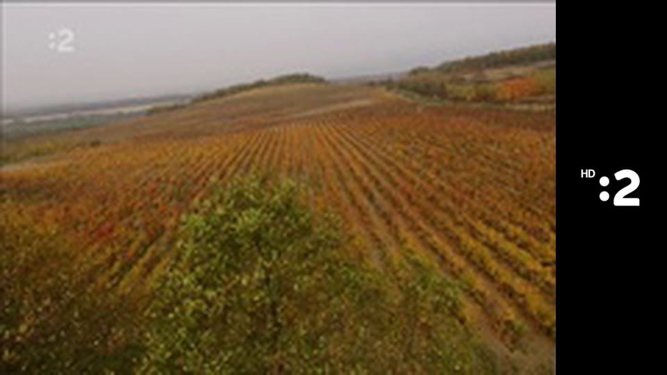 Vínne cesty Slovenska E2 - Vihorlat a Sobranecko