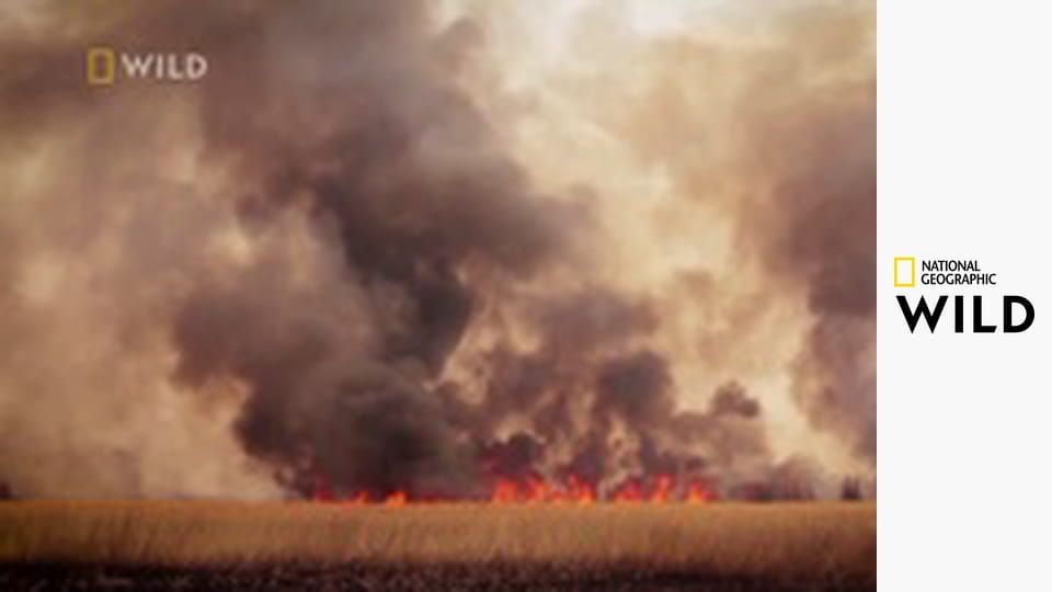 Niszczycielskie żywioły S3E1 - Gniew matki natury