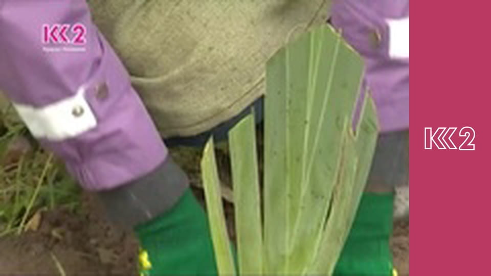 Телемагазин