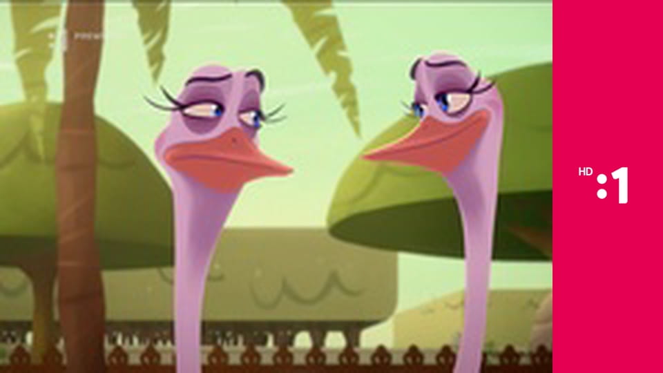 Čo budeme robiť E26