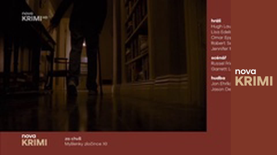 Myšlenky zločince S12E9